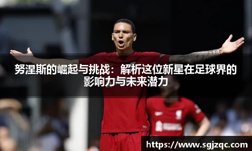 努涅斯的崛起与挑战：解析这位新星在足球界的影响力与未来潜力