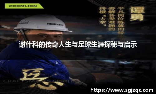 谢什科的传奇人生与足球生涯探秘与启示